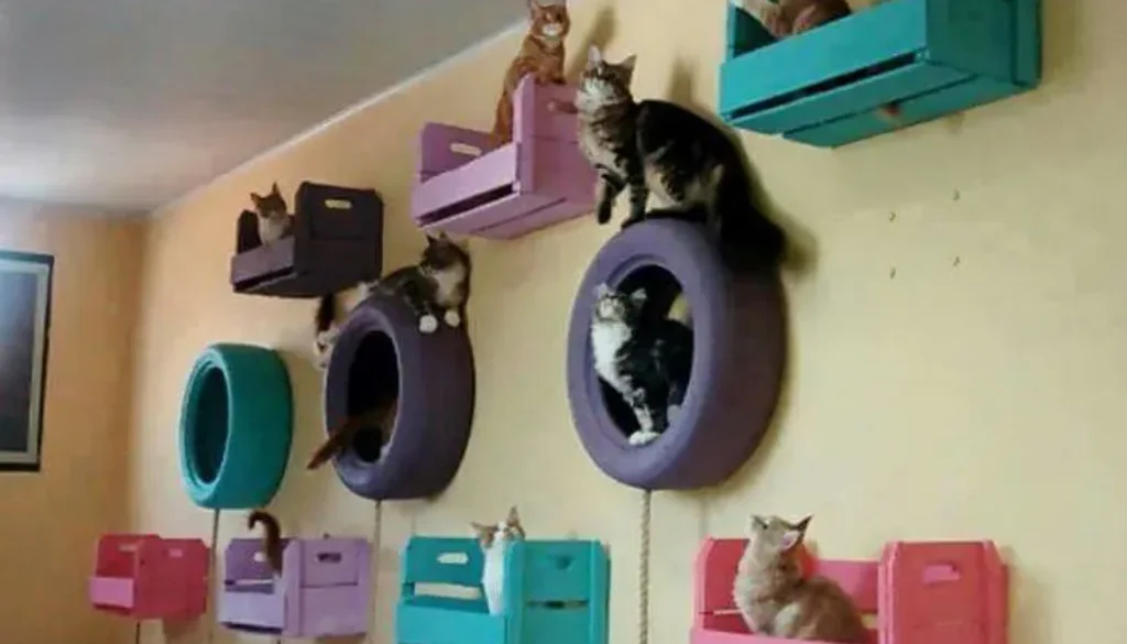 Cat houses made out of tires